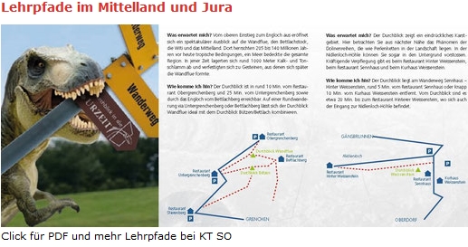 immobilie solothurn179
