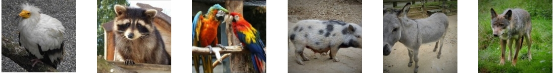 schulreise zoo