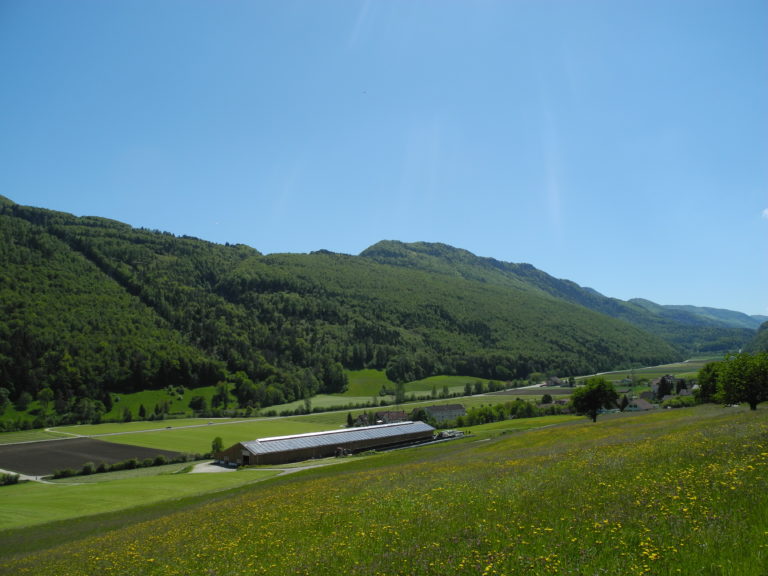 wabdern naturpark jura wanderurlaub schweiz jura